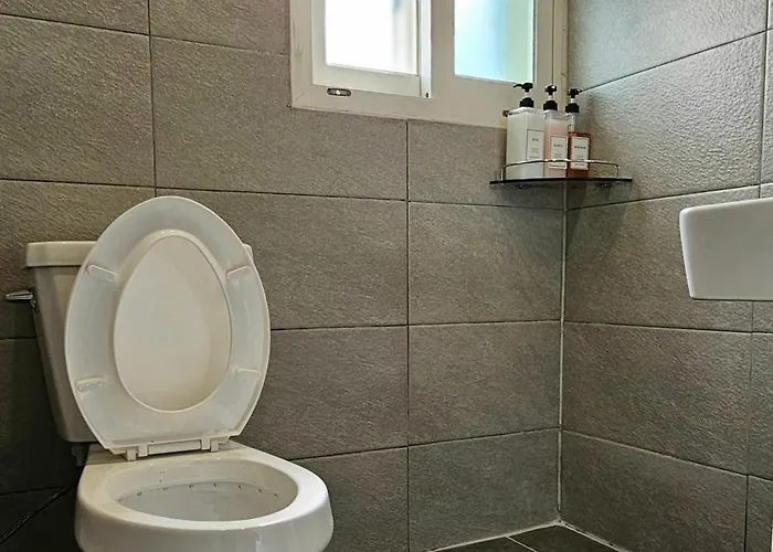 Life In Insa